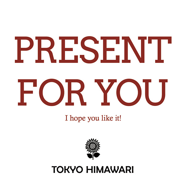 プレゼント用 ギフトラッピング 誕生日やクリスマス等に