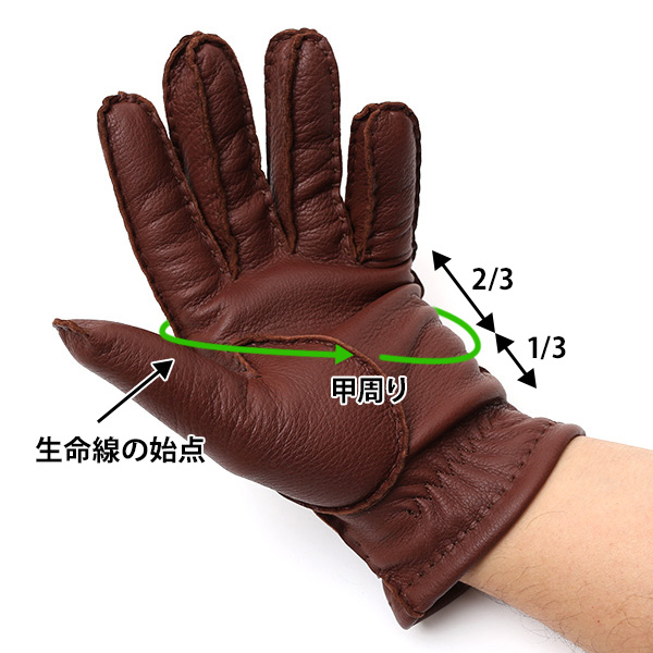 手袋 サイズ詳細02